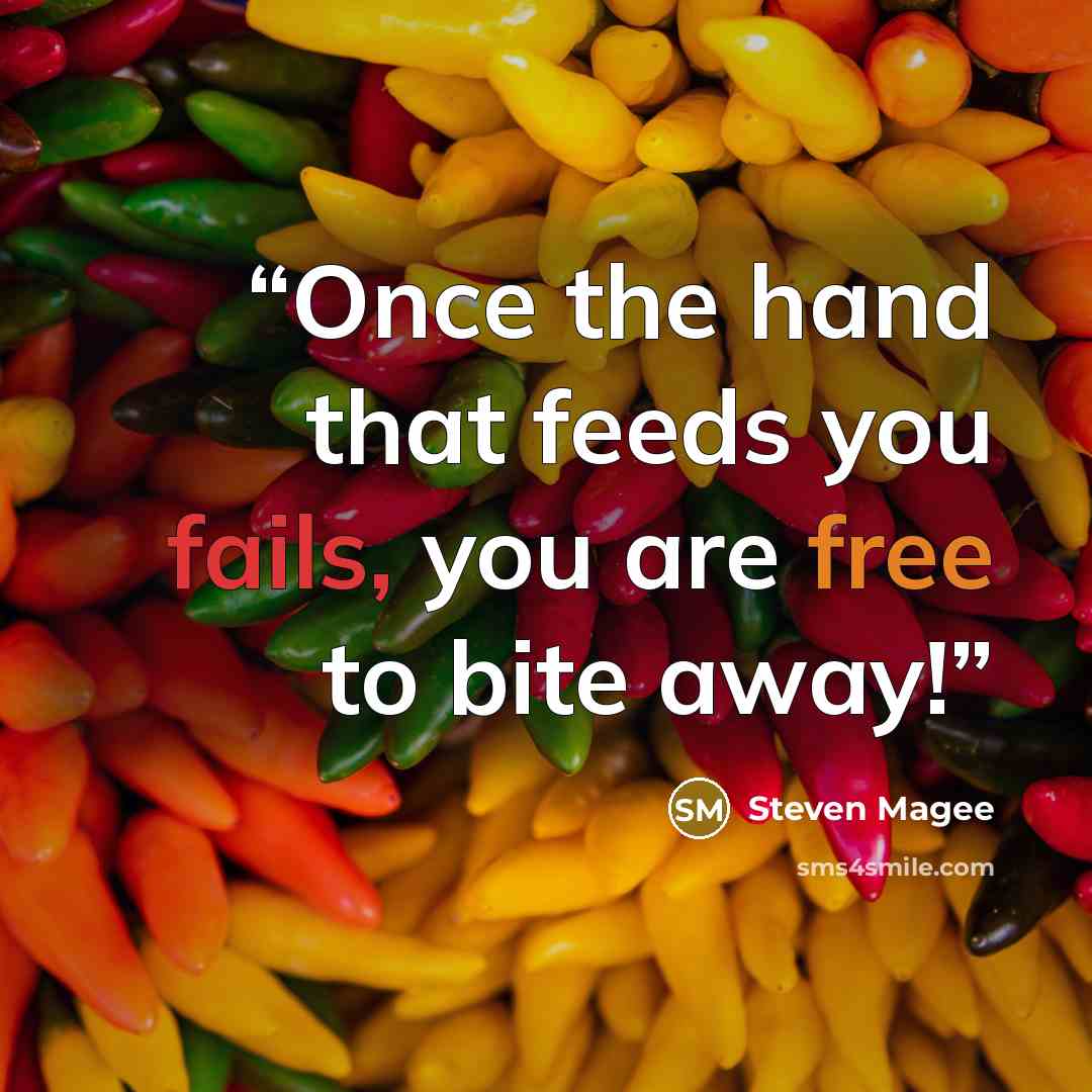 “Once the hand that feeds you fails, you are free to bite away!” quote by Steven Magee