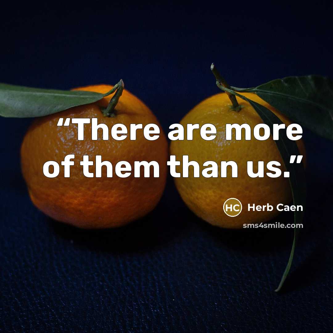 “There are more of them than us.” quote by Herb Caen