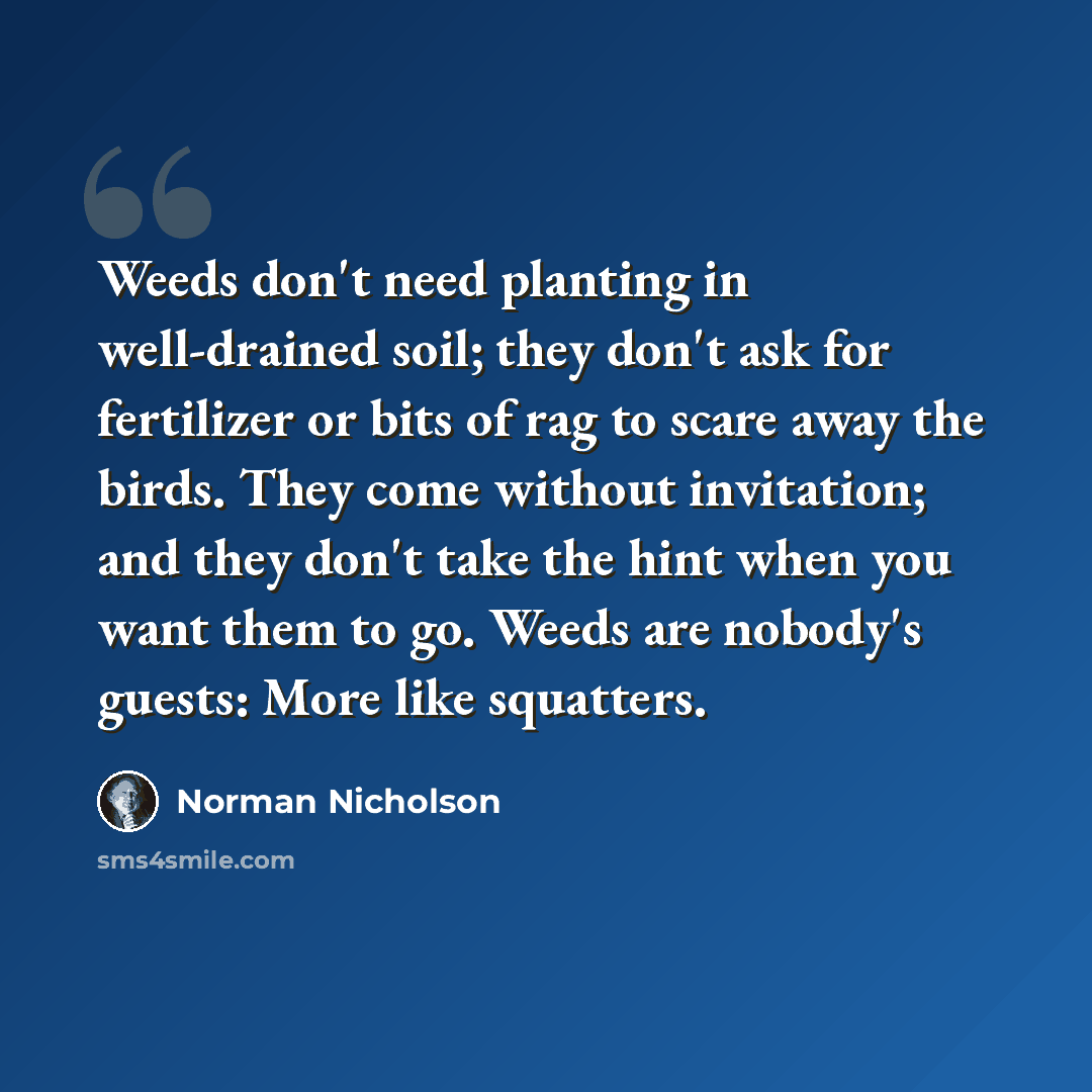 “Weeds don't need planting in well-drained soil; they don't ask for fertilizer or bits of rag to scare away the birds. They come without invitation; and they don't take the hint when you want them to go. Weeds are nobody's guests: More like squatters.” quote by Norman Nicholson