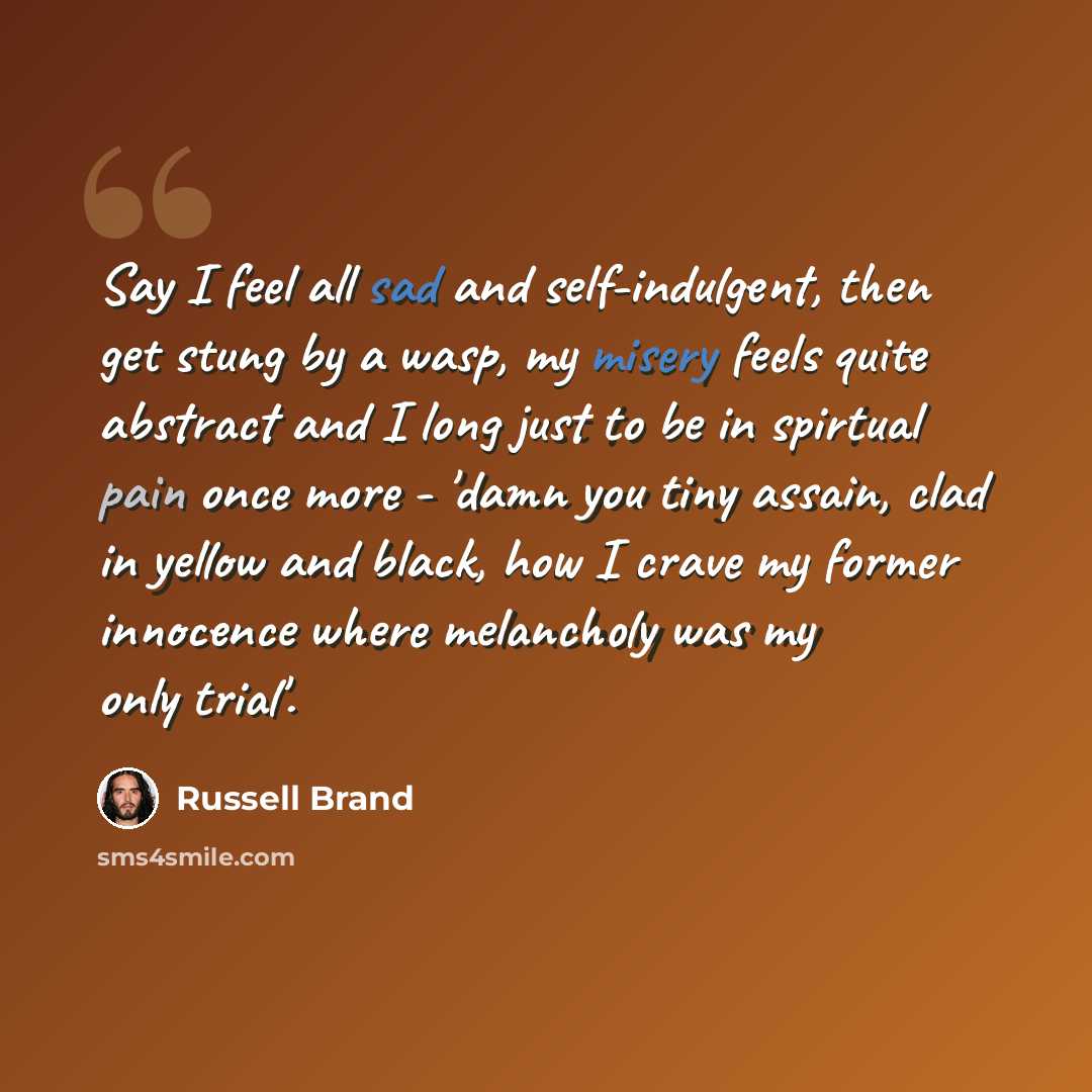 “Say I feel all sad and self-indulgent, then get stung by a wasp, my misery feels quite abstract and I long just to be in spirtual pain once more - 'damn you tiny assain, clad in yellow and black, how I crave my former innocence where melancholy was my only trial'.” quote by Russell Brand