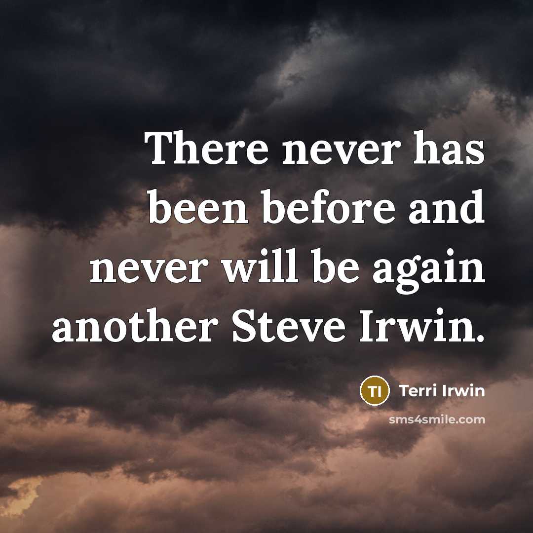 “There never has been before and never will be again another Steve Irwin.” quote by Terri Irwin