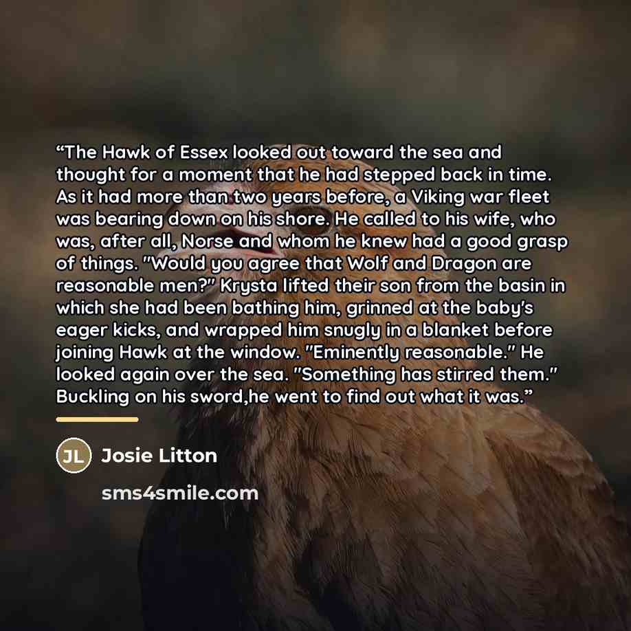 “The Hawk of Essex looked out toward the sea and thought for a moment that he had stepped back in time. As it had more than two years before, a Viking war fleet was bearing down on his shore. He called to his wife, who was, after all, Norse and whom he knew had a good grasp of things. "Would you…” quote by Josie Litton