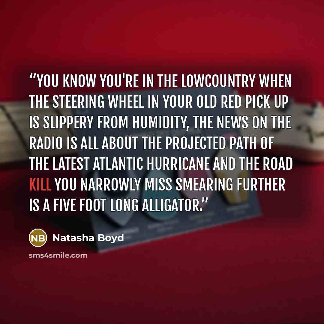 “You know you're in the Lowcountry when the steering wheel in your old red pick up is slippery from humidity, the news on the radio is all about the projected path of the latest Atlantic hurricane and the road kill you narrowly miss smearing further is a five foot long alligator.” quote by Natasha Boyd