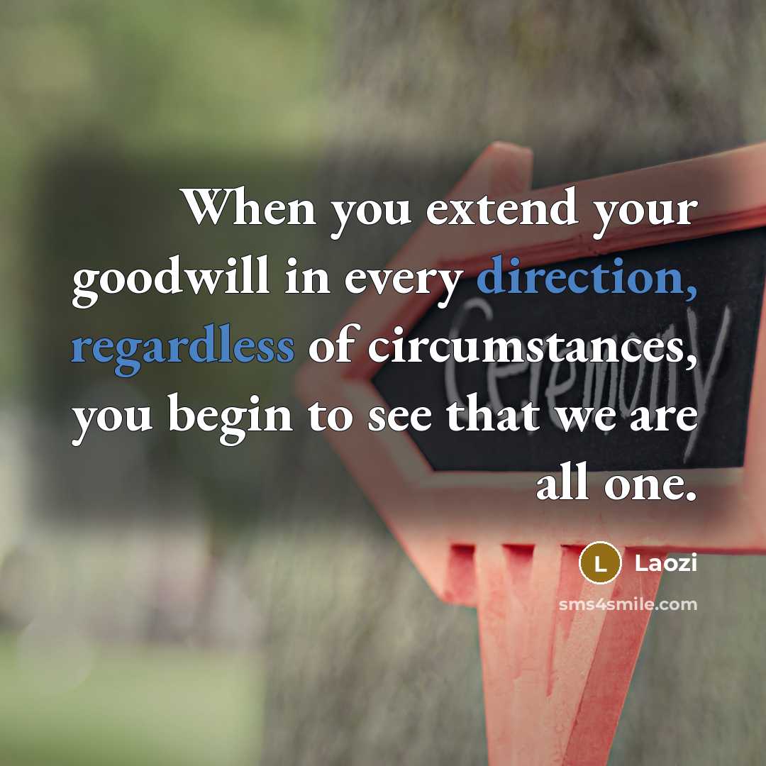 “When you extend your goodwill in every direction, regardless of circumstances, you begin to see that we are all one.” quote by Laozi