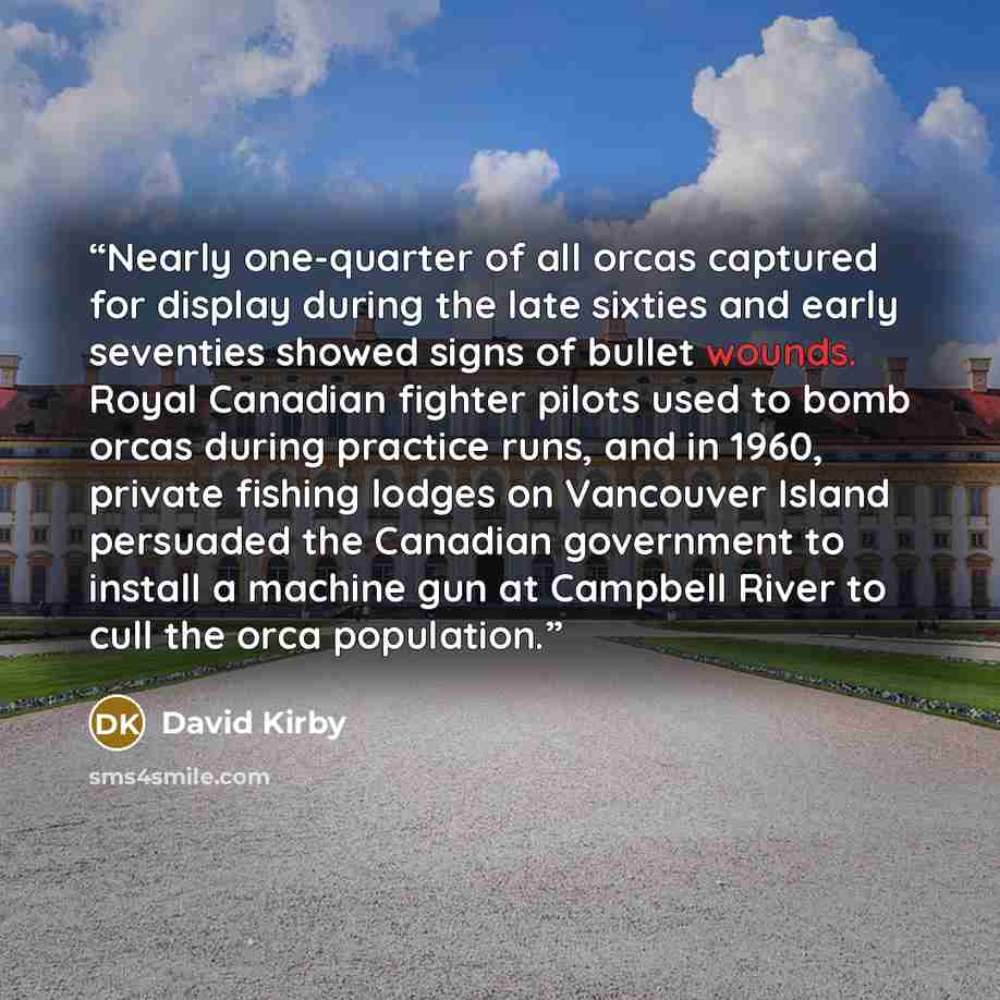 “Nearly one-quarter of all orcas captured for display during the late sixties and early seventies showed signs of bullet wounds. Royal Canadian fighter pilots used to bomb orcas during practice runs, and in 1960, private fishing lodges on Vancouver Island persuaded the Canadian government to…” quote by David Kirby