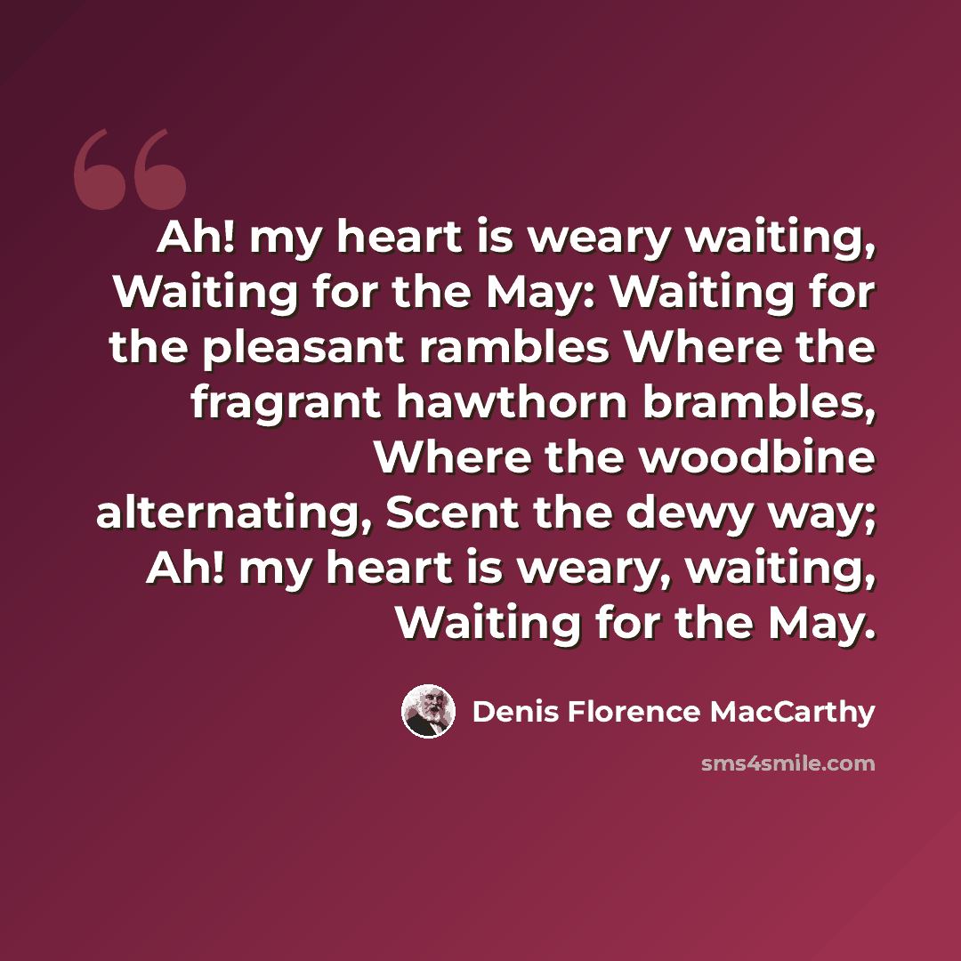 “Ah! my heart is weary waiting, Waiting for the May: Waiting for the pleasant rambles Where the fragrant hawthorn brambles, Where the woodbine alternating, Scent the dewy way; Ah! my heart is weary, waiting, Waiting for the May.” quote by Denis Florence MacCarthy