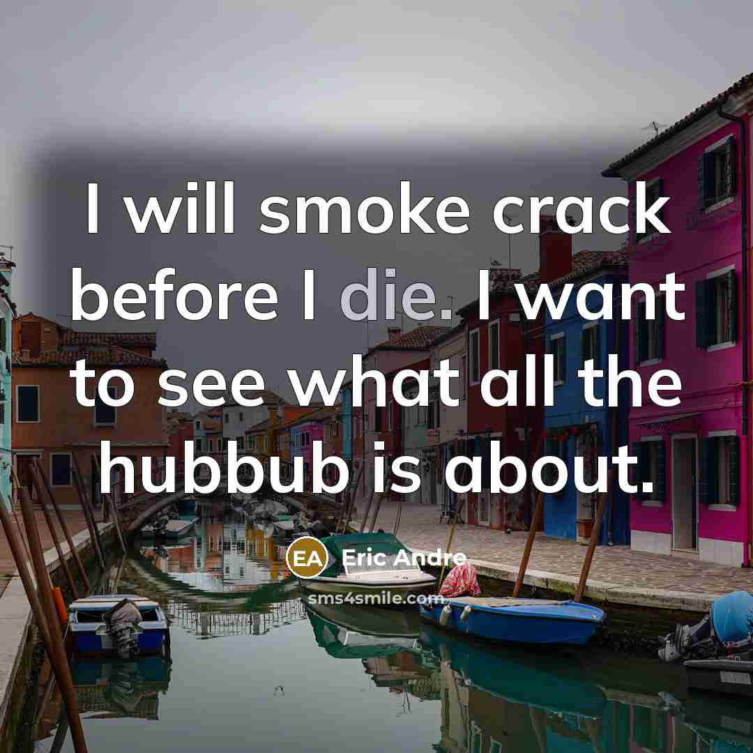 “I will smoke crack before I die. I want to see what all the hubbub is about.” quote by Eric Andre