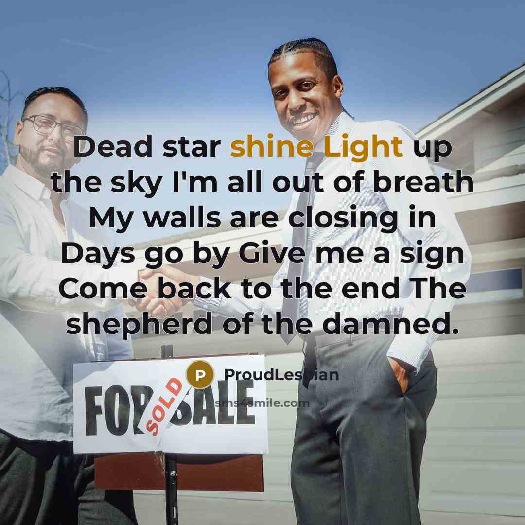 “Dead star shine Light up the sky I'm all out of breath My walls are closing in Days go by Give me a sign Come back to the end The shepherd of the damned.” quote by ProudLesbian