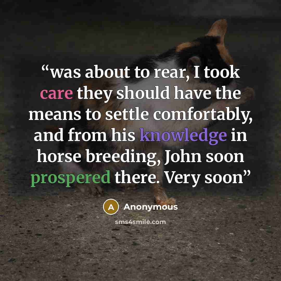 “was about to rear, I took care they should have the means to settle comfortably, and from his knowledge in horse breeding, John soon prospered there. Very soon” quote by Anonymous