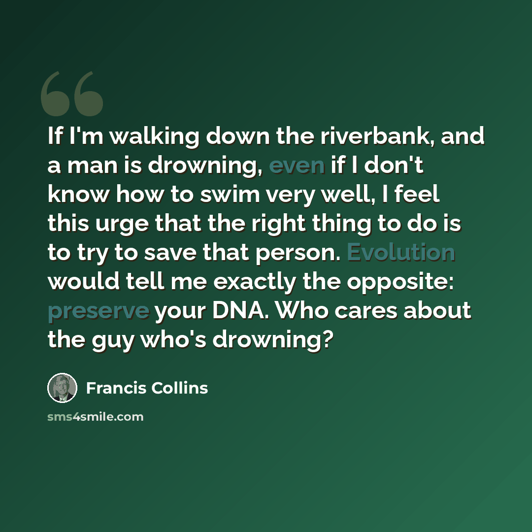 “If I'm walking down the riverbank, and a man is drowning, even if I don't know how to swim very well, I feel this urge that the right thing to do is to try to save that person. Evolution would tell me exactly the opposite: preserve your DNA. Who cares about the guy who's drowning?” quote by Francis Collins