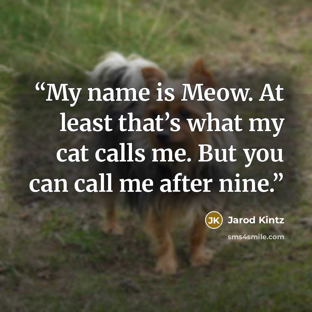 “My name is Meow. At least that’s what my cat calls me. But you can call me after nine.” quote by Jarod Kintz