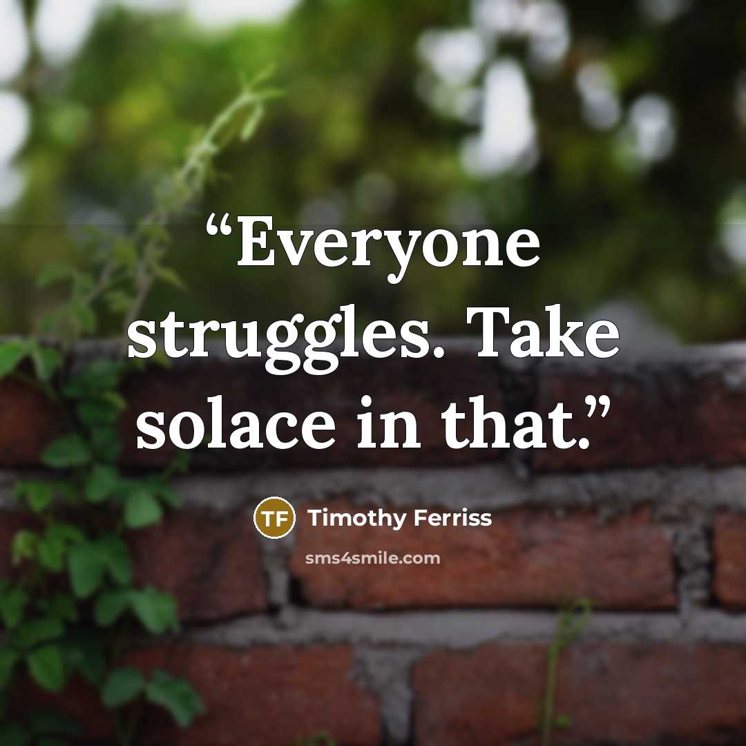 “Everyone struggles. Take solace in that.” quote by Timothy Ferriss