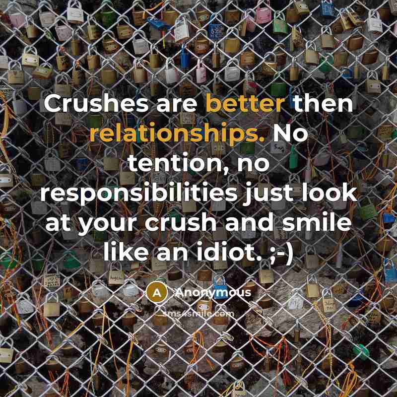 “Crushes are better then relationships. No tention, no responsibilities just look at your crush and smile like an idiot. ;-)” quote by Anonymous