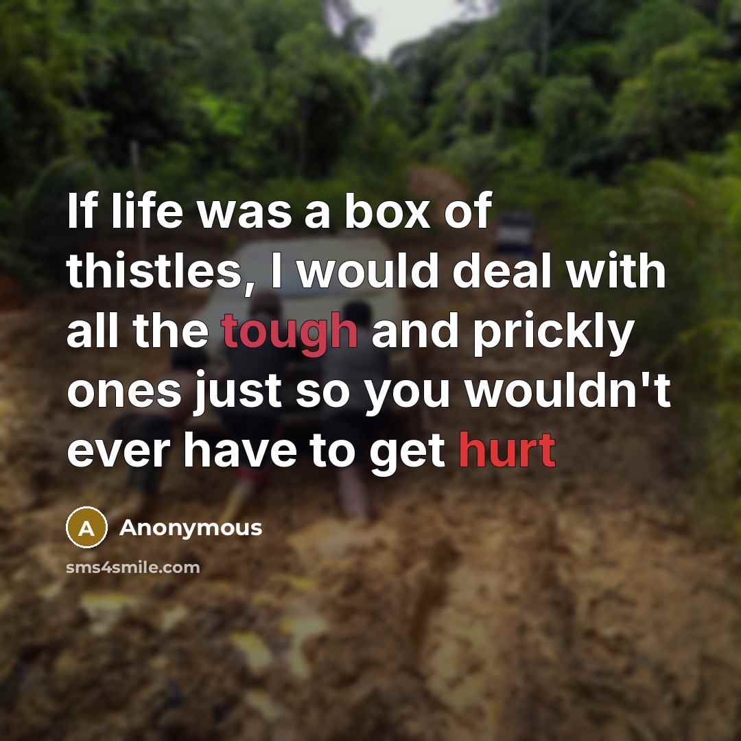 “If life was a box of thistles, I would deal with all the tough and prickly ones just so you wouldn't ever have to get hurt” quote by Anonymous
