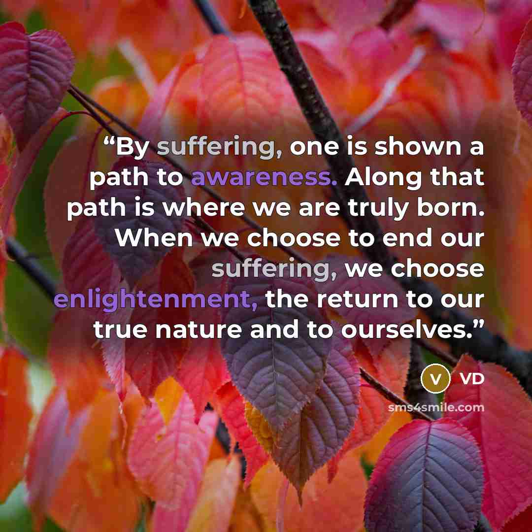 “By suffering, one is shown a path to awareness. Along that path is where we are truly born. When we choose to end our suffering, we choose enlightenment, the return to our true nature and to ourselves.” quote by VD