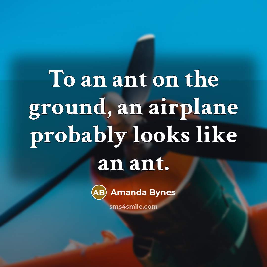 “To an ant on the ground, an airplane probably looks like an ant.” quote by Amanda Bynes
