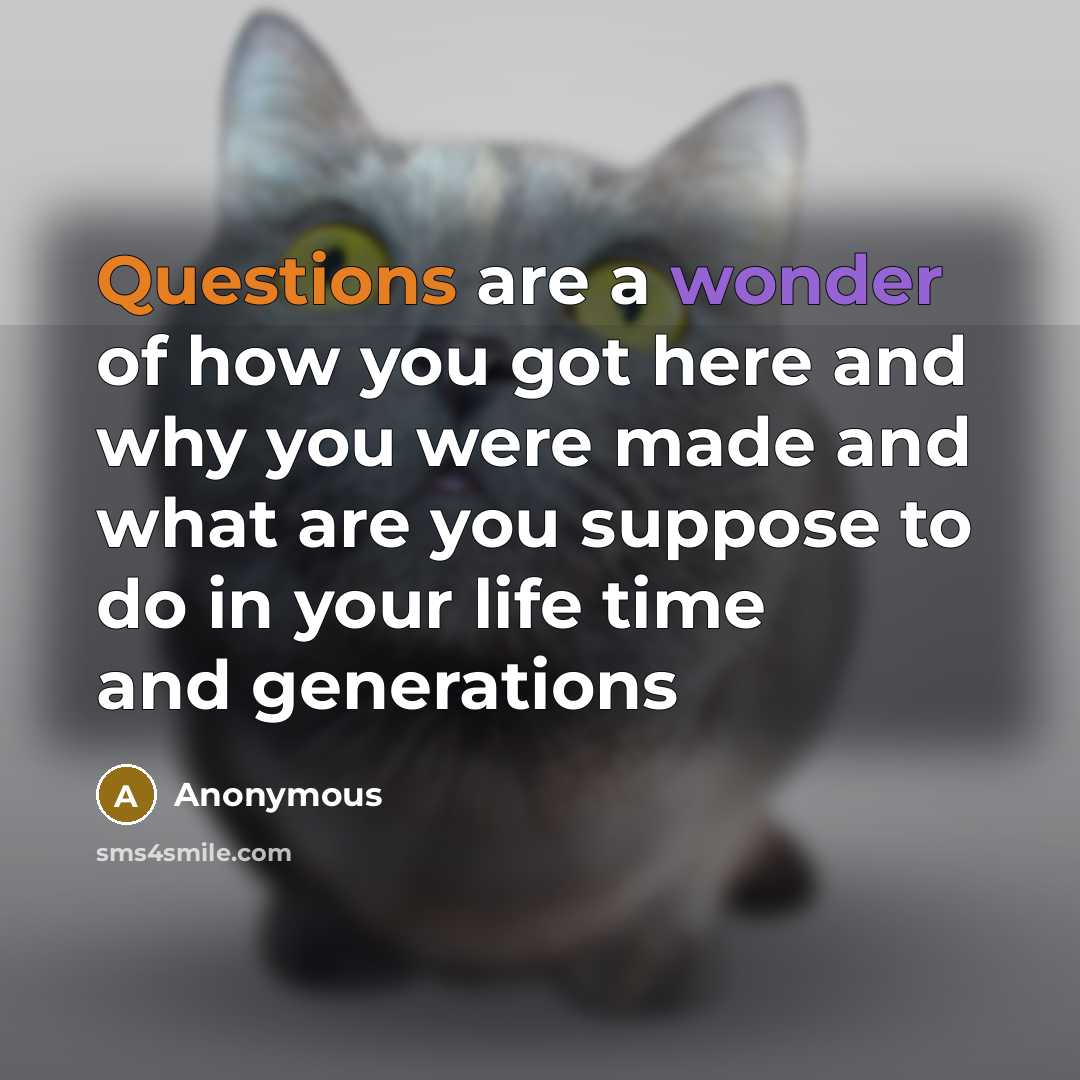 “Questions are a wonder of how you got here and why you were made and what are you suppose to do in your life time and generations” quote by Anonymous