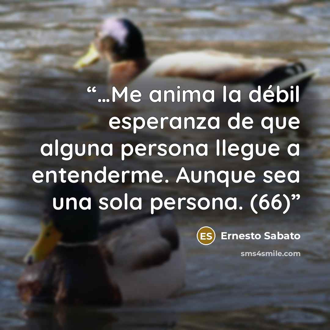 “…Me anima la débil esperanza de que alguna persona llegue a entenderme. Aunque sea una sola persona. (66)” quote by Ernesto Sabato