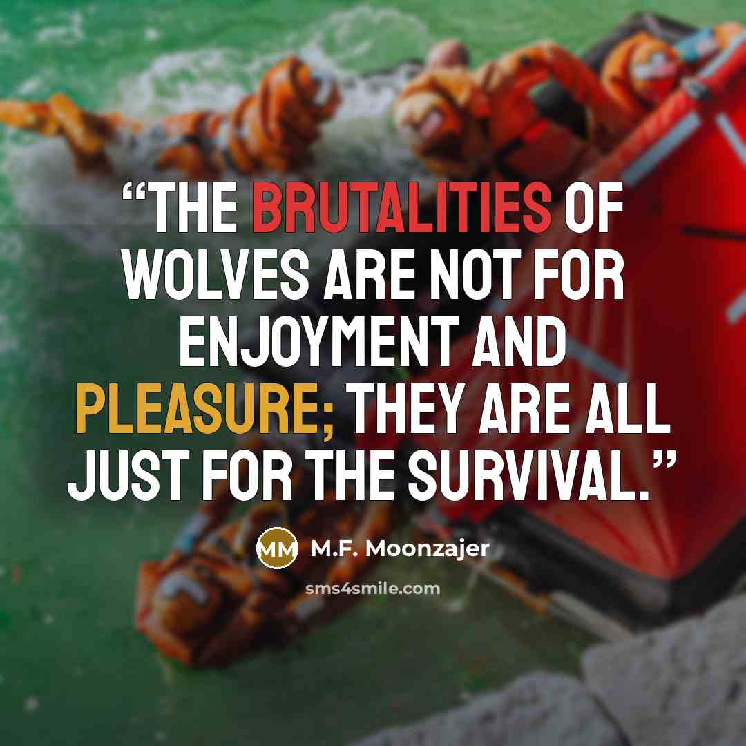 “The brutalities of wolves are not for enjoyment and pleasure; they are all just for the survival.” quote by M.F. Moonzajer