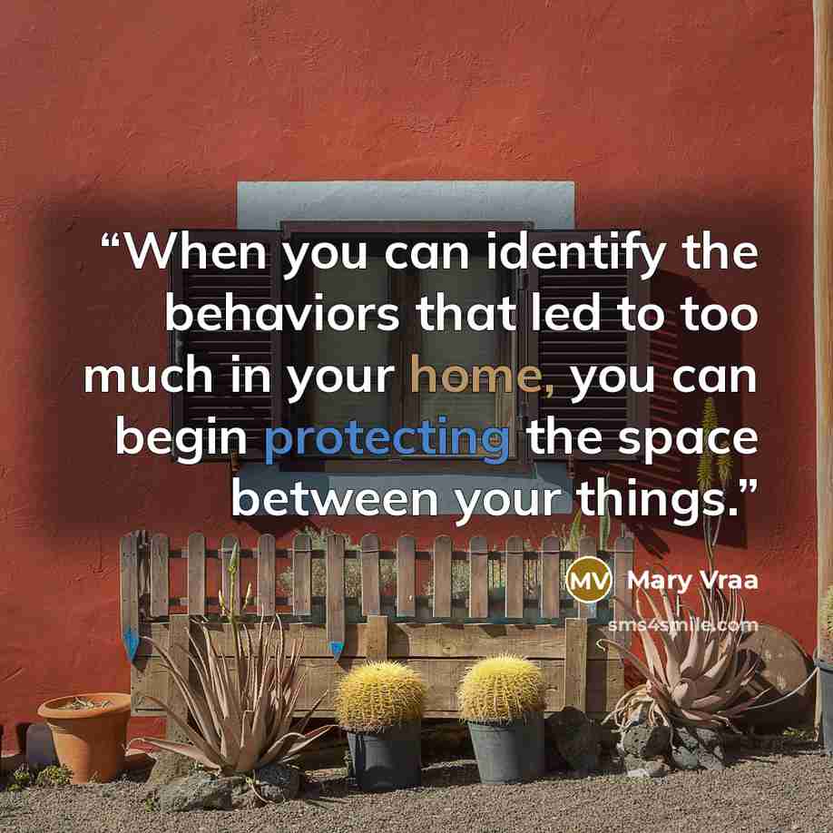 “When you can identify the behaviors that led to too much in your home, you can begin protecting the space between your things.” quote by Mary Vraa