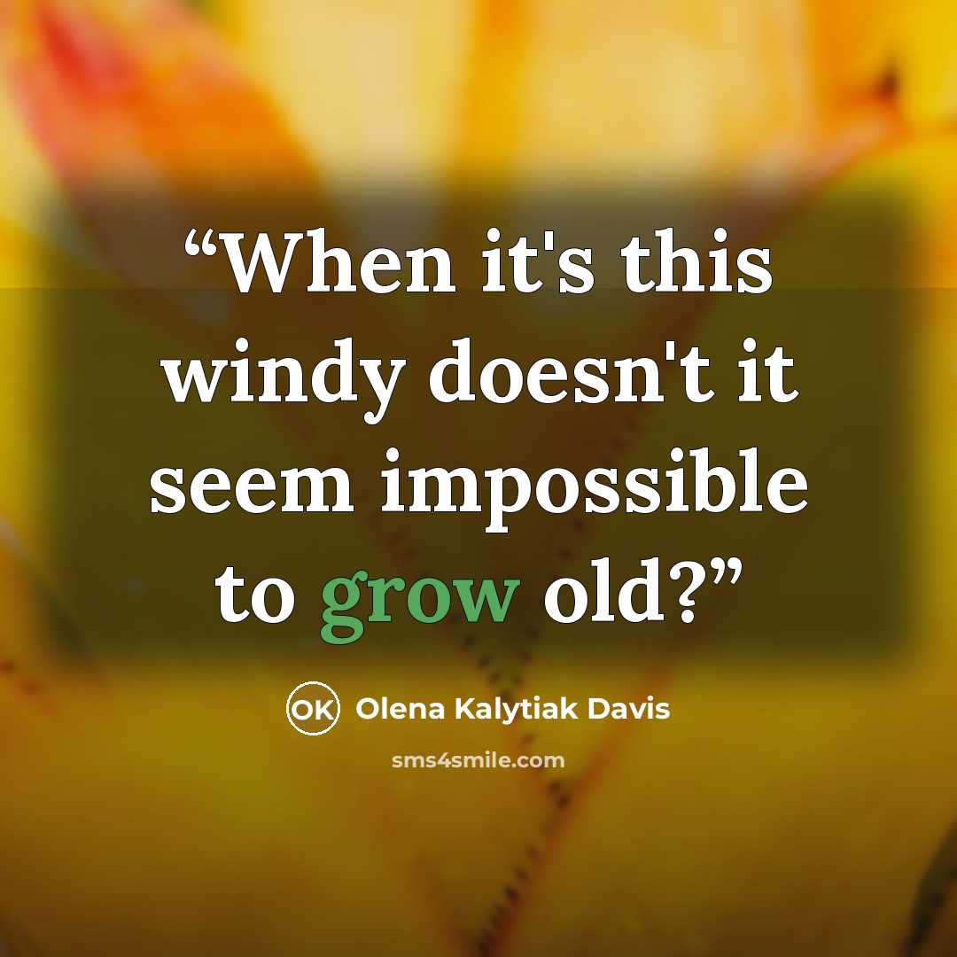 “When it's this windy doesn't it seem impossible to grow old?” quote by Olena Kalytiak Davis