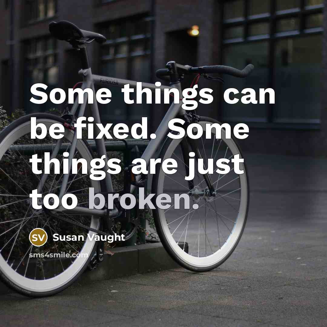 “Some things can be fixed. Some things are just too broken.” quote by Susan Vaught