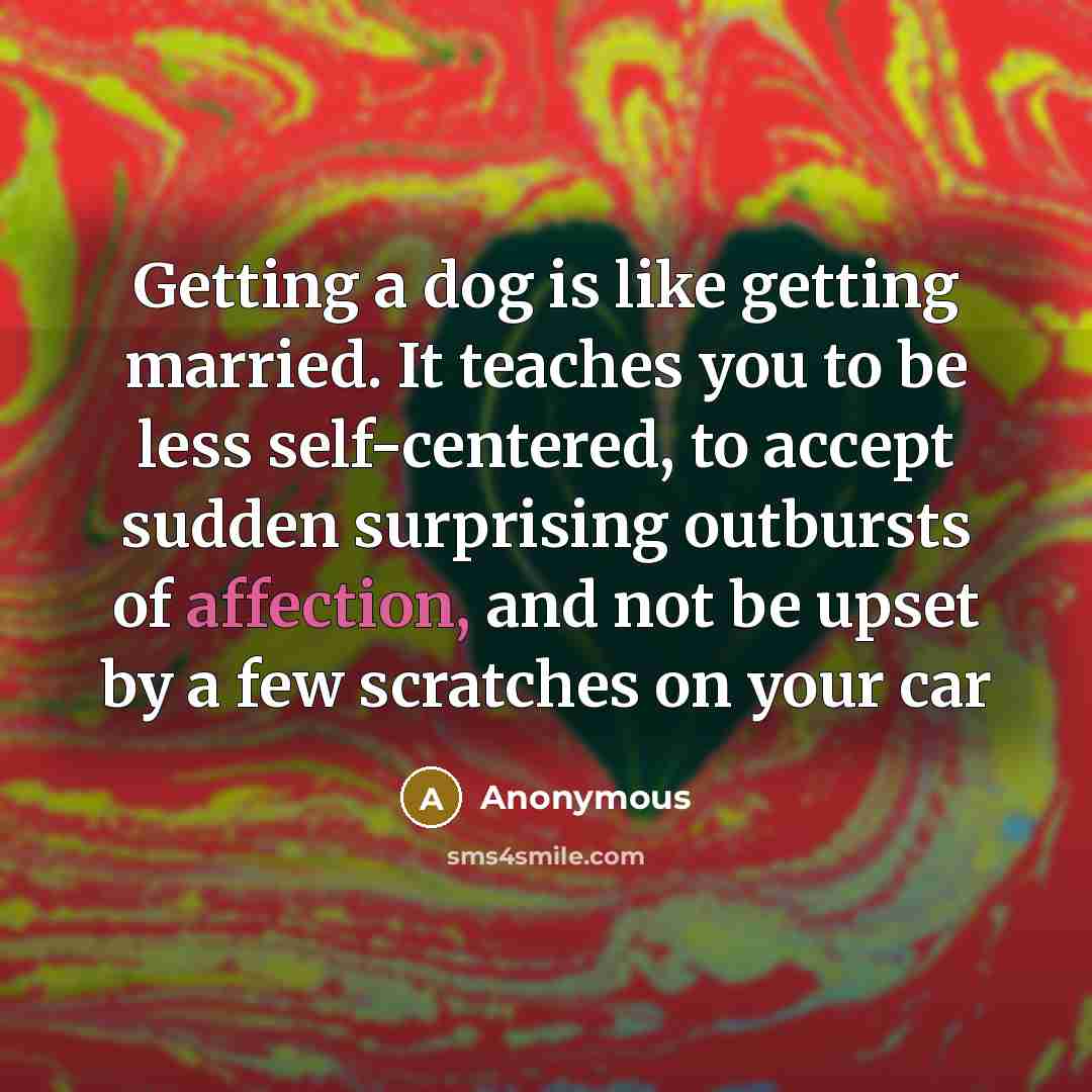 “Getting a dog is like getting married. It teaches you to be less self-centered, to accept sudden surprising outbursts of affection, and not be upset by a few scratches on your car” quote by Anonymous