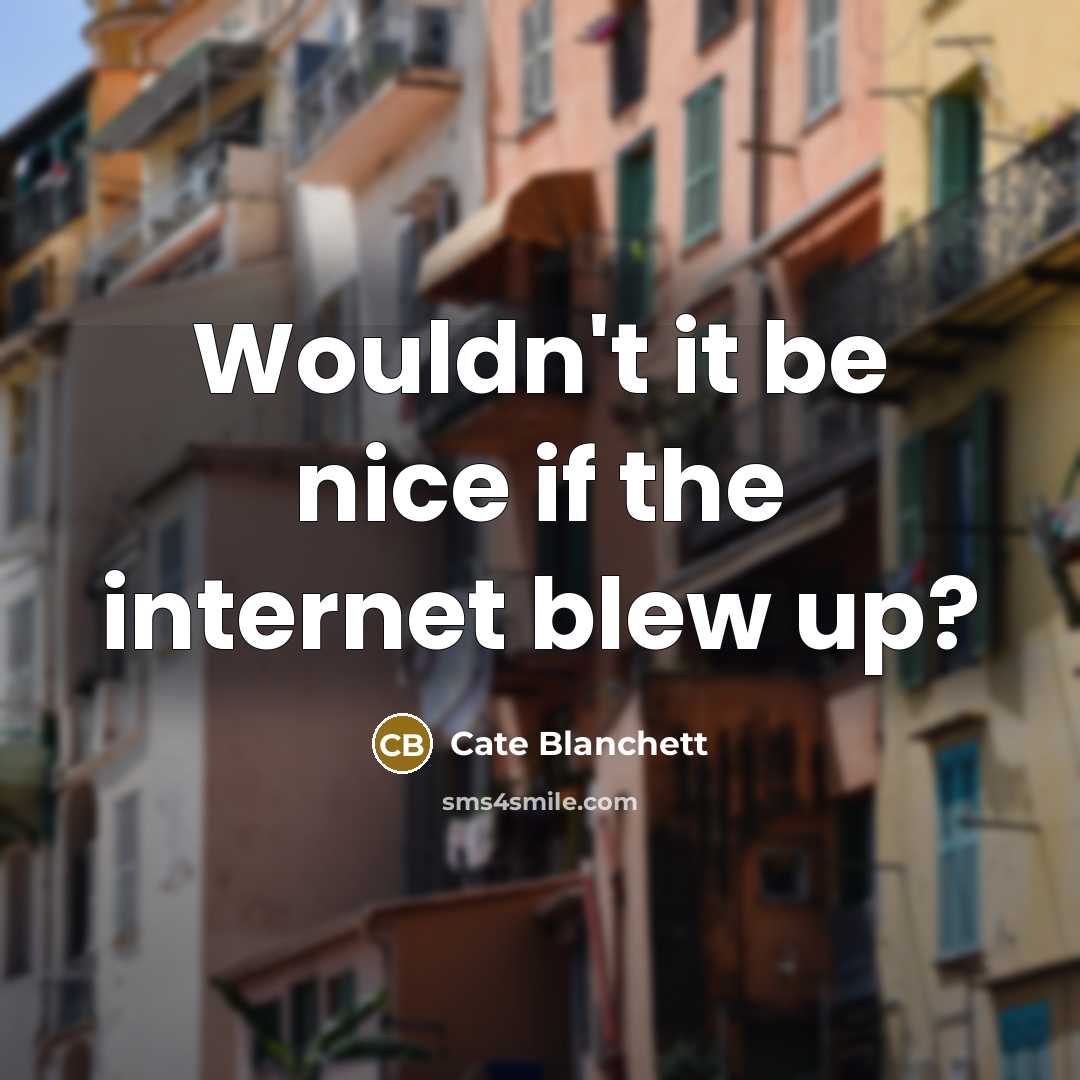 “Wouldn't it be nice if the internet blew up?” quote by Cate Blanchett