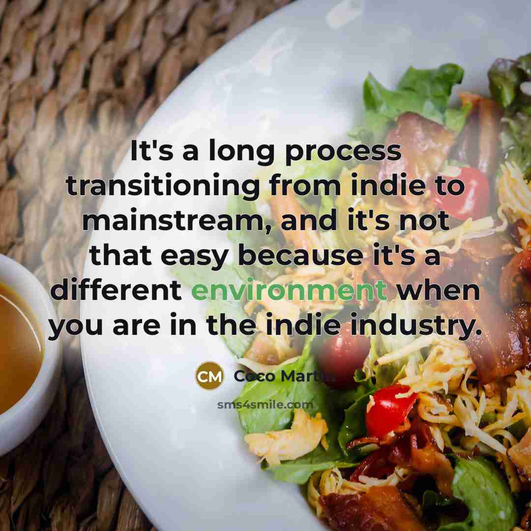 “It's a long process transitioning from indie to mainstream, and it's not that easy because it's a different environment when you are in the indie industry.” quote by Coco Martin