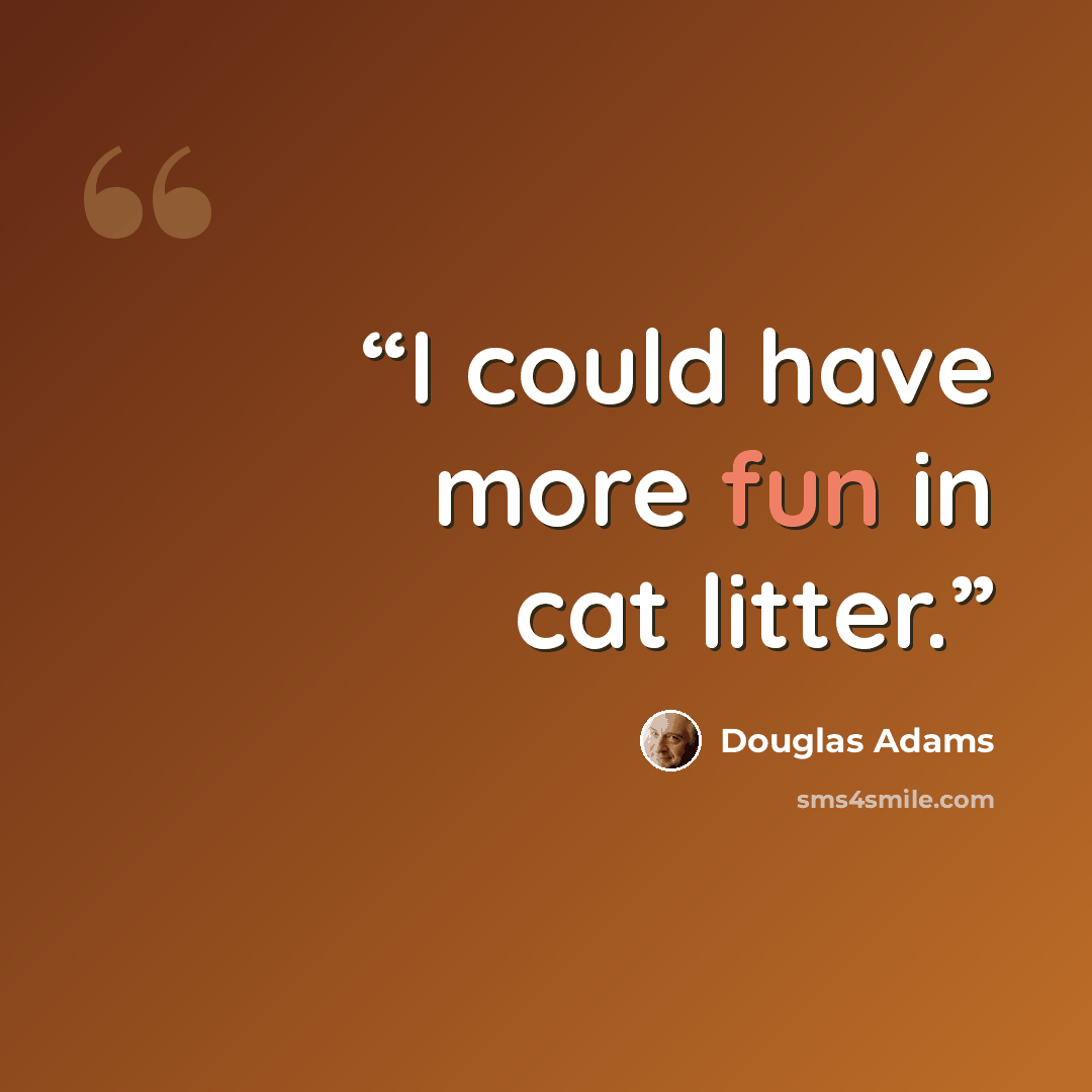 “I could have more fun in cat litter.” quote by Douglas Adams