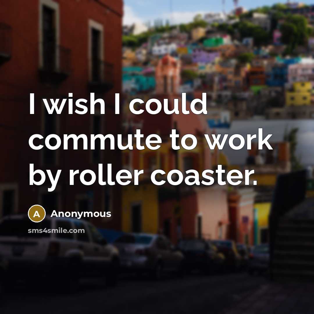 “I wish I could commute to work by roller coaster.” quote by Anonymous