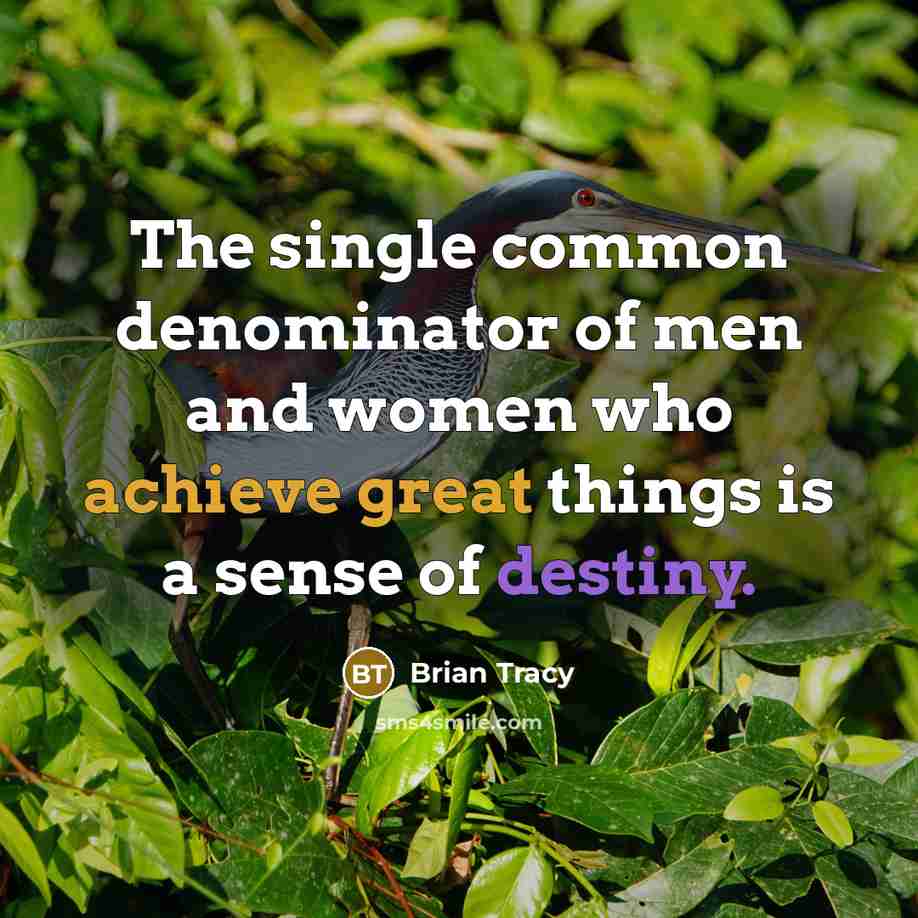 “The single common denominator of men and women who achieve great things is a sense of destiny.” quote by Brian Tracy