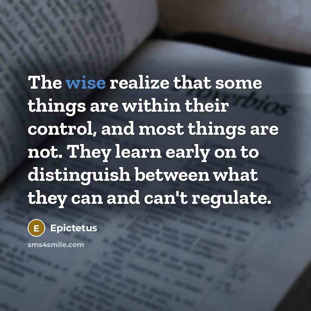 “The wise realize that some things are within their control, and most things are not. They learn early on to distinguish between what they can and can't regulate.” quote by Epictetus