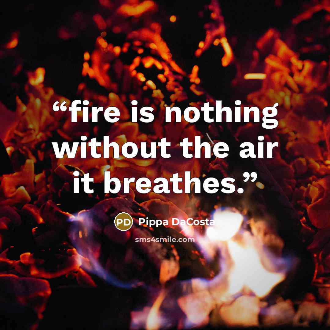 “fire is nothing without the air it breathes.” quote by Pippa DaCosta