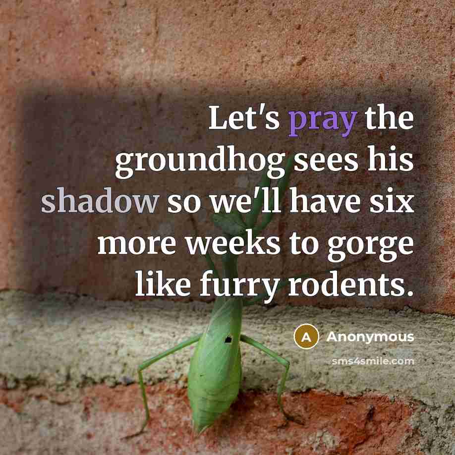 “Let's pray the groundhog sees his shadow so we'll have six more weeks to gorge like furry rodents.” quote by Anonymous