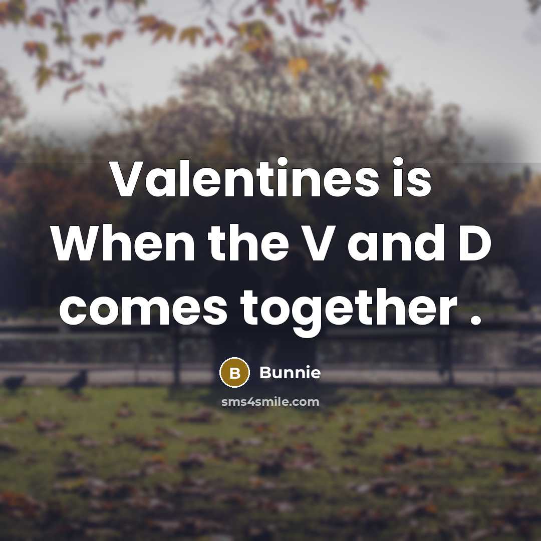 “Valentines is When the V and D comes together .” quote by Bunnie
