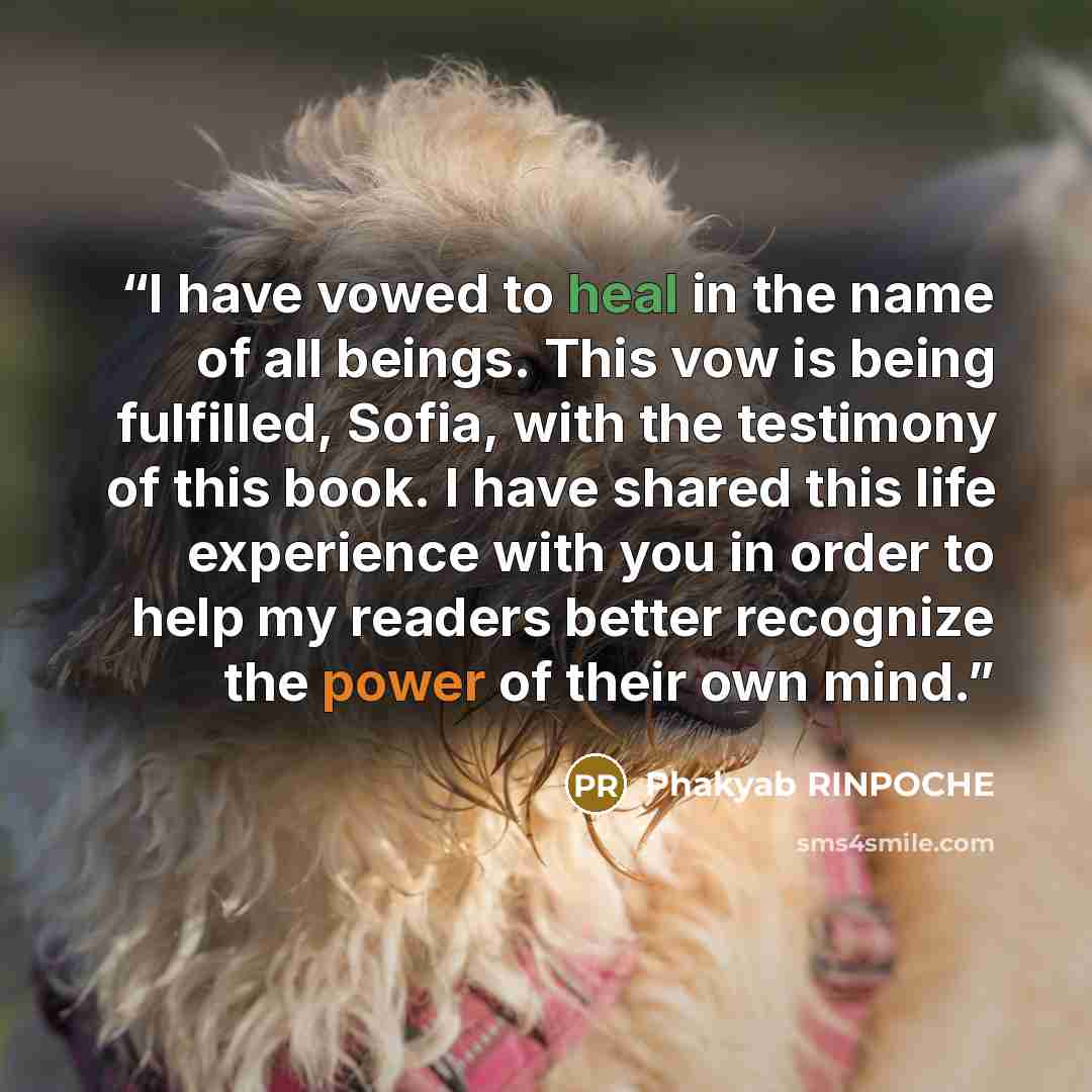 “I have vowed to heal in the name of all beings. This vow is being fulfilled, Sofia, with the testimony of this book. I have shared this life experience with you in order to help my readers better recognize the power of their own mind.” quote by Phakyab RINPOCHE