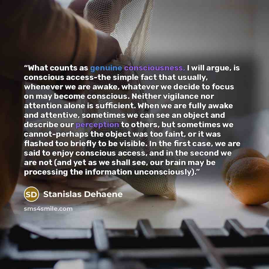 “What counts as genuine consciousness, I will argue, is conscious access-the simple fact that usually, whenever we are awake, whatever we decide to focus on may become conscious. Neither vigilance nor attention alone is sufficient. When we are fully awake and attentive, sometimes we can see an…” quote by Stanislas Dehaene