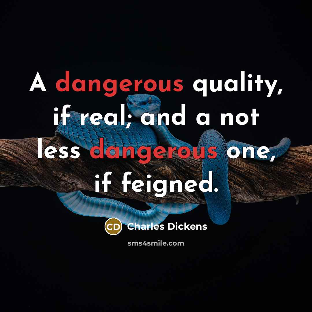 “A dangerous quality, if real; and a not less dangerous one, if feigned.” quote by Charles Dickens