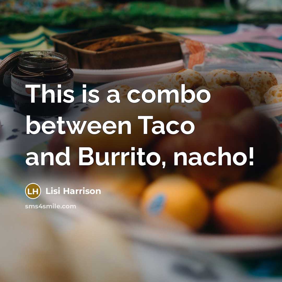 “This is a combo between Taco and Burrito, nacho!” quote by Lisi Harrison