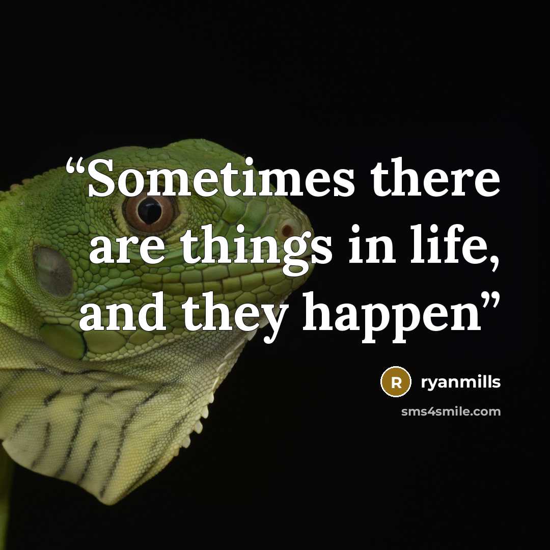 “Sometimes there are things in life, and they happen” quote by ryanmills