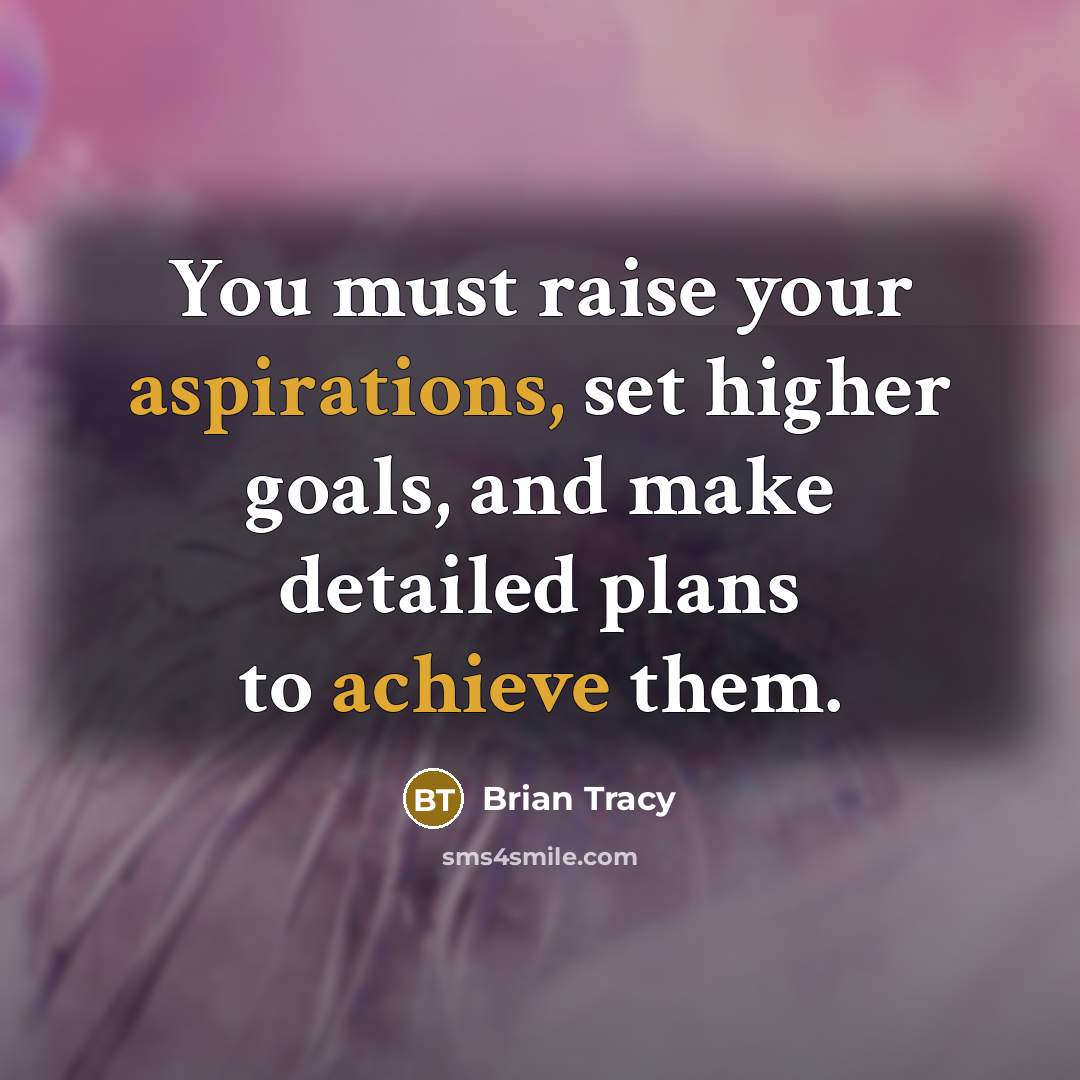 “You must raise your aspirations, set higher goals, and make detailed plans to achieve them.” quote by Brian Tracy
