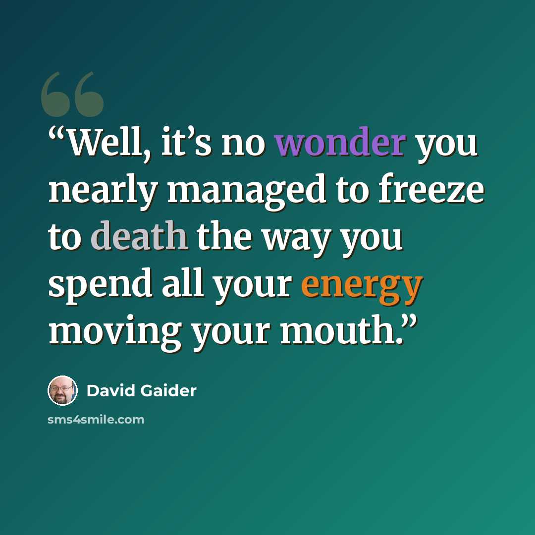 “Well, it’s no wonder you nearly managed to freeze to death the way you spend all your energy moving your mouth.” quote by David Gaider