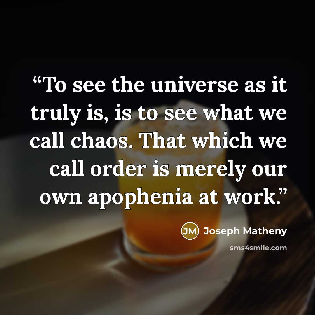“To see the universe as it truly is, is to see what we call chaos. That which we call order is merely our own apophenia at work.” quote by Joseph Matheny