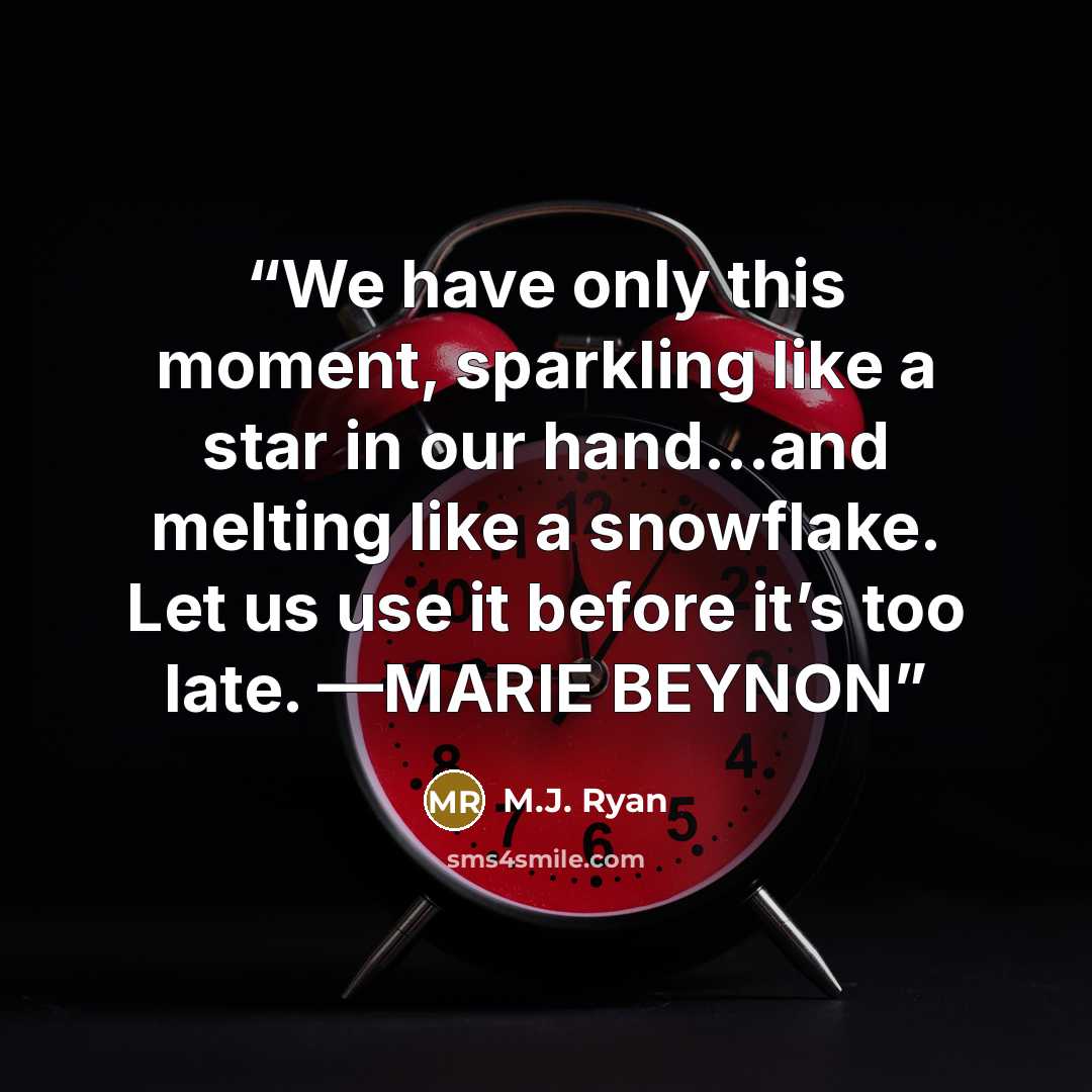 “We have only this moment, sparkling like a star in our hand…and melting like a snowflake. Let us use it before it’s too late. —MARIE BEYNON” quote by M.J. Ryan