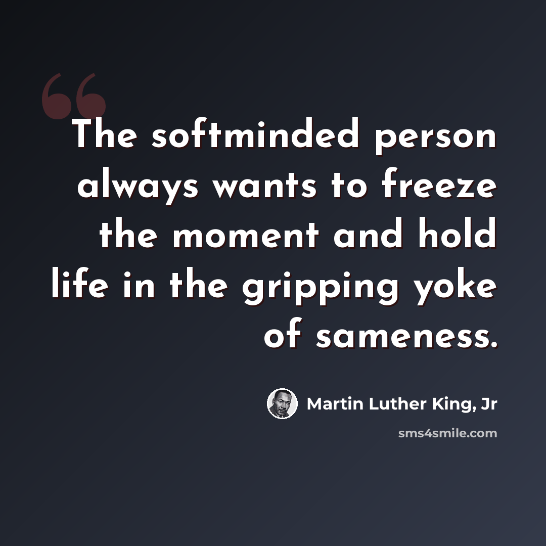 “The softminded person always wants to freeze the moment and hold life in the gripping yoke of sameness.” quote by Martin Luther King, Jr