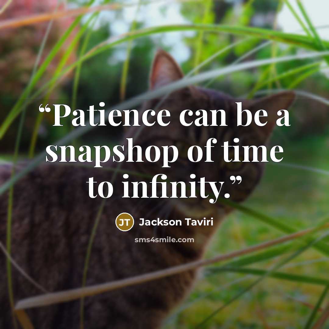 “Patience can be a snapshop of time to infinity.” quote by Jackson Taviri
