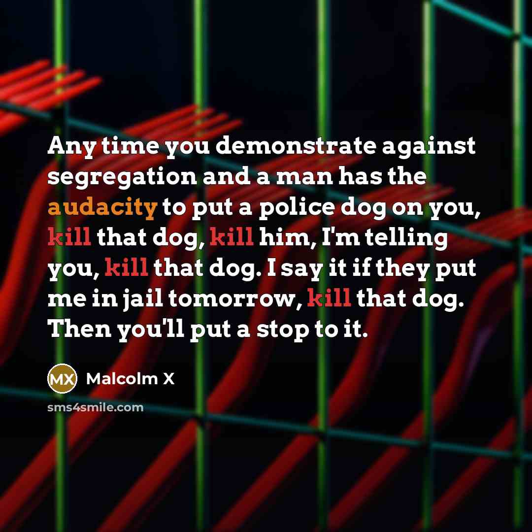 “Any time you demonstrate against segregation and a man has the audacity to put a police dog on you, kill that dog, kill him, I'm telling you, kill that dog. I say it if they put me in jail tomorrow, kill that dog. Then you'll put a stop to it.” quote by Malcolm X