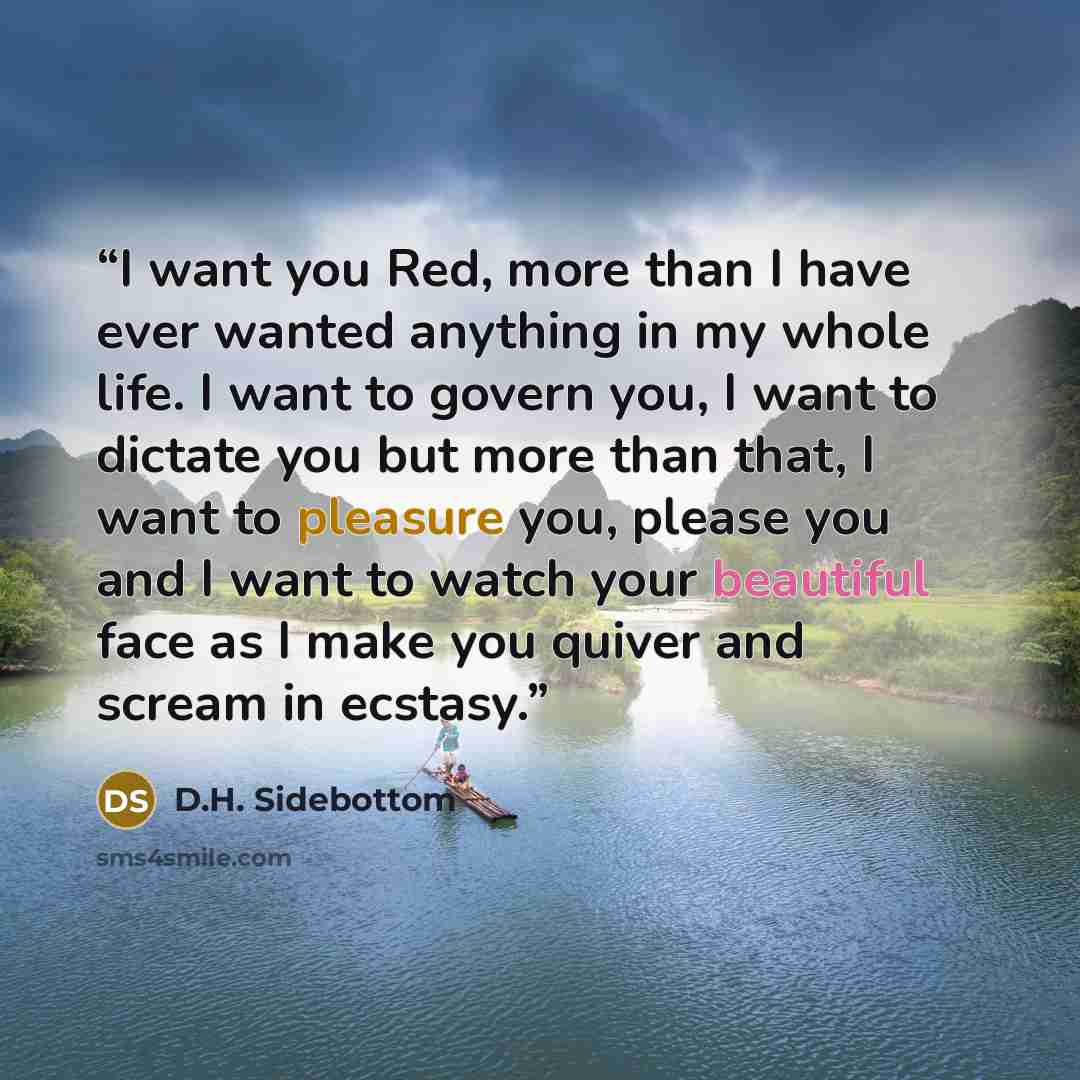 “I want you Red, more than I have ever wanted anything in my whole life. I want to govern you, I want to dictate you but more than that, I want to pleasure you, please you and I want to watch your beautiful face as I make you quiver and scream in ecstasy.” quote by D.H. Sidebottom