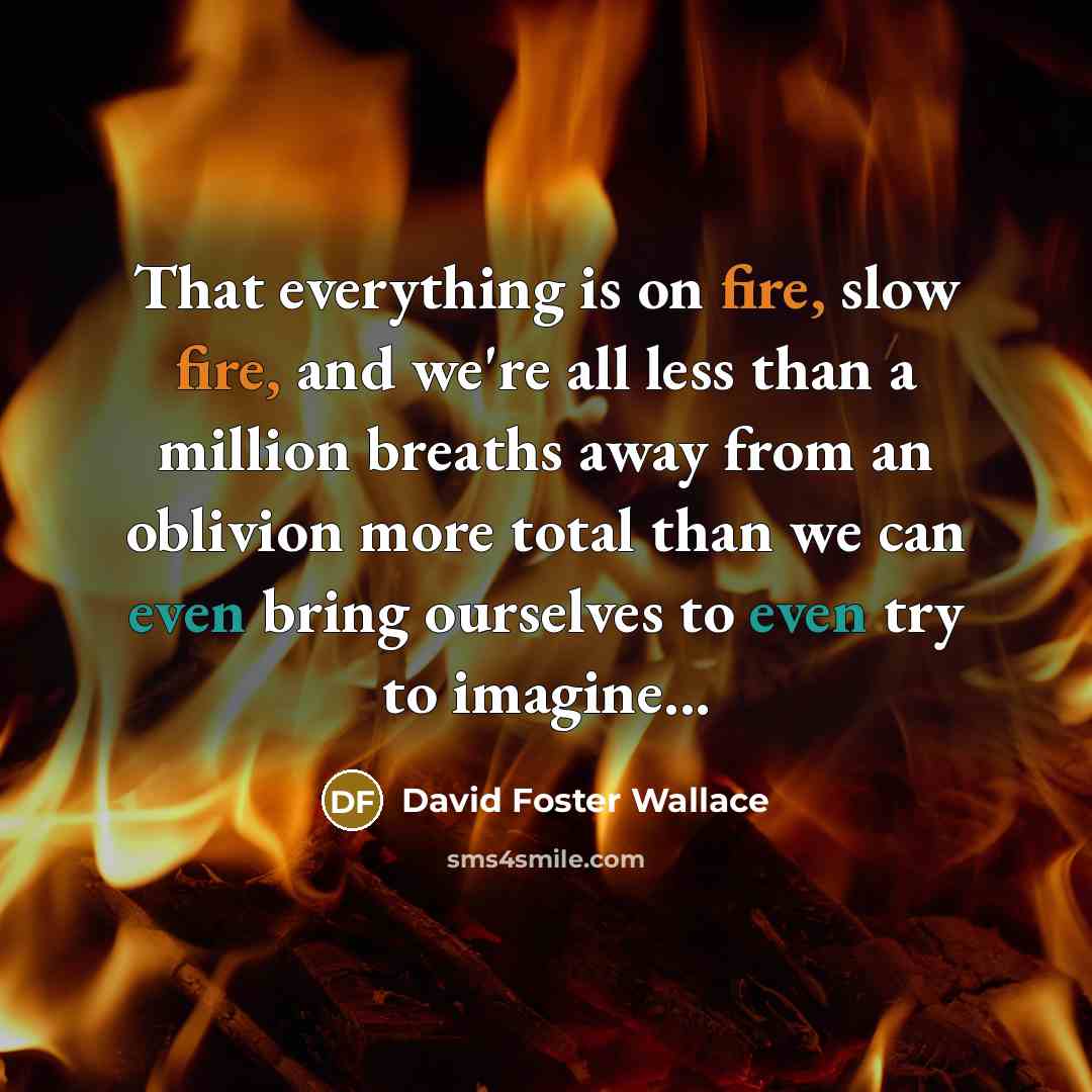 “That everything is on fire, slow fire, and we're all less than a million breaths away from an oblivion more total than we can even bring ourselves to even try to imagine...” quote by David Foster Wallace